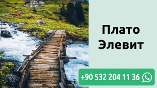 Плато Элевит